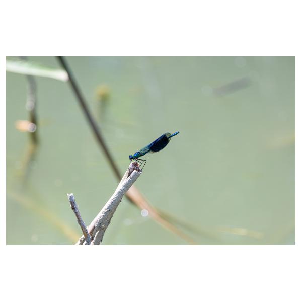 PHOTO84, CLUB, 84 , LUBERON